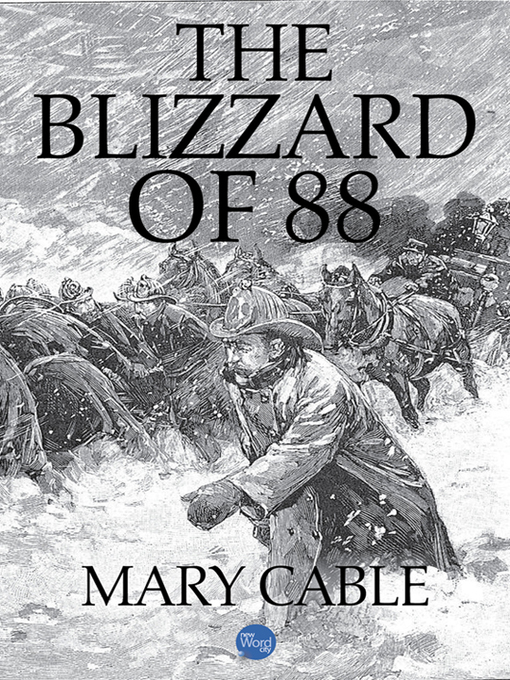 Cover image for The Blizzard of 88